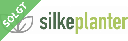 logoer/silke-planter-logo-solgt.png