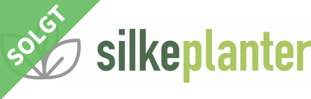 silke-planter-logo.png