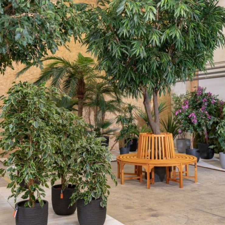 Silkeplanter overtages af Jydsk Planteservice Holding A/S