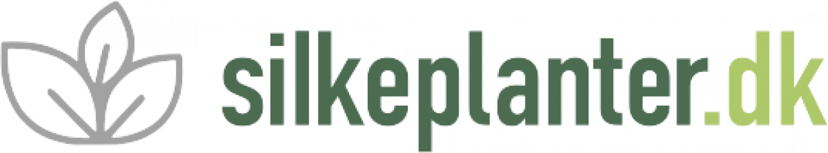Silkeplanter